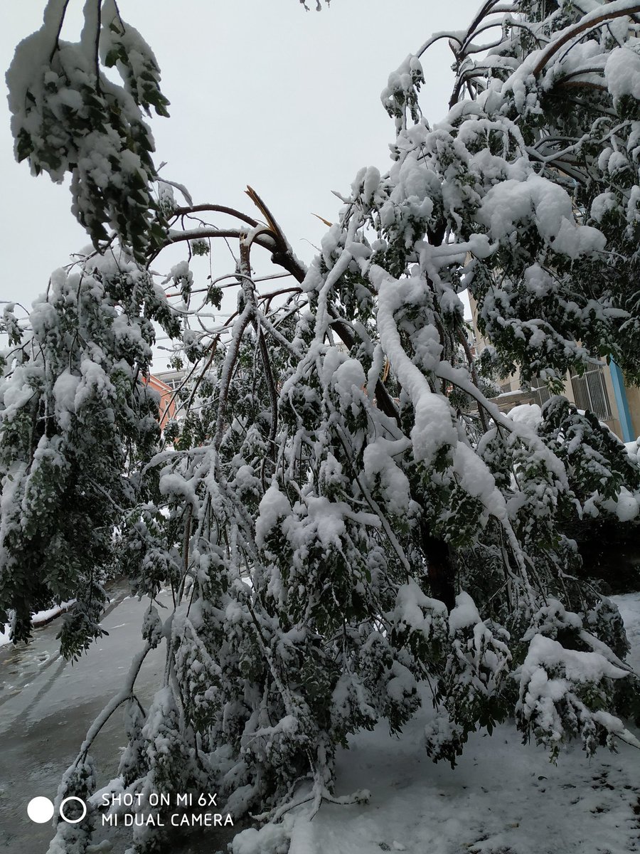 Jeffreey12's tweet photo. 好大的雪🌨️ https://t.co/FiPvC6NNZi