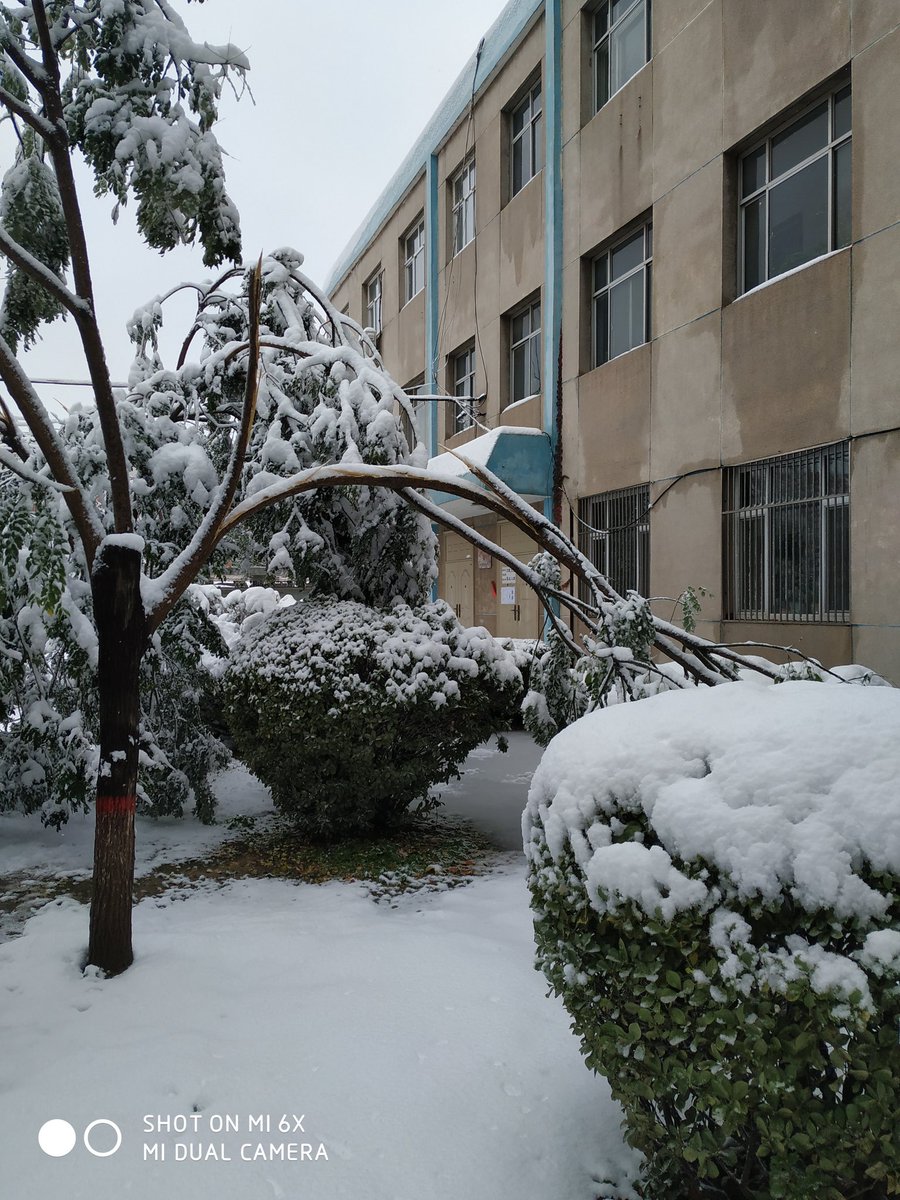 Jeffreey12's tweet photo. 好大的雪🌨️ https://t.co/FiPvC6NNZi