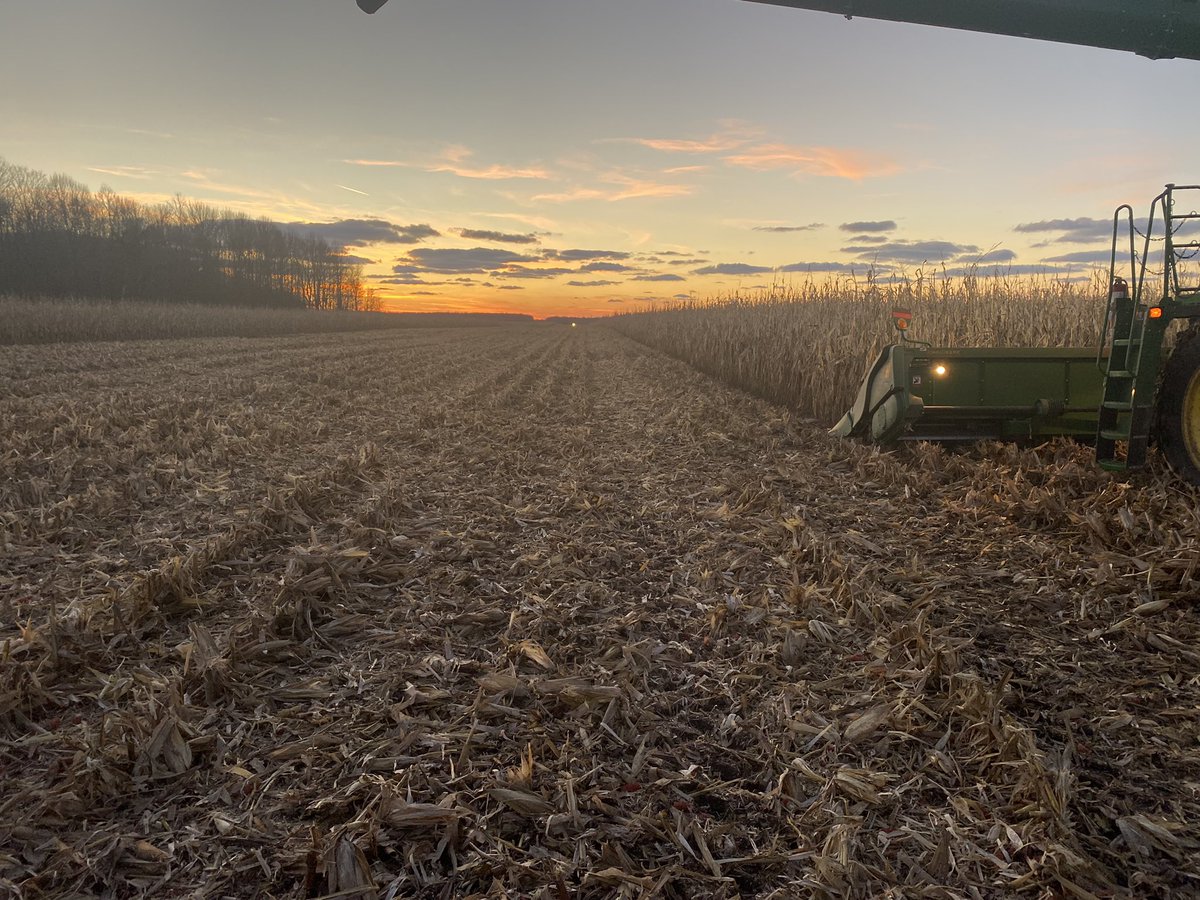 Rick Kootstra tweet media