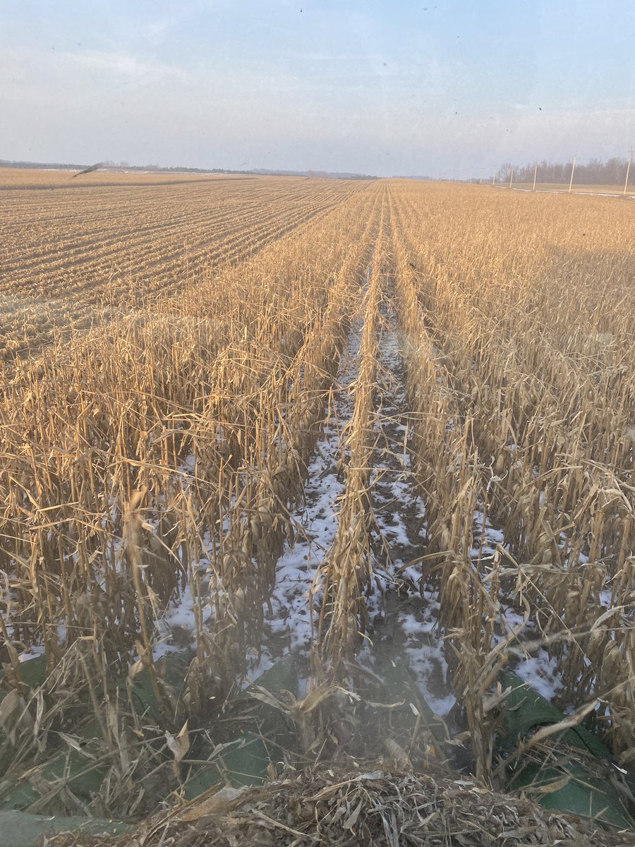 Rick Kootstra tweet media