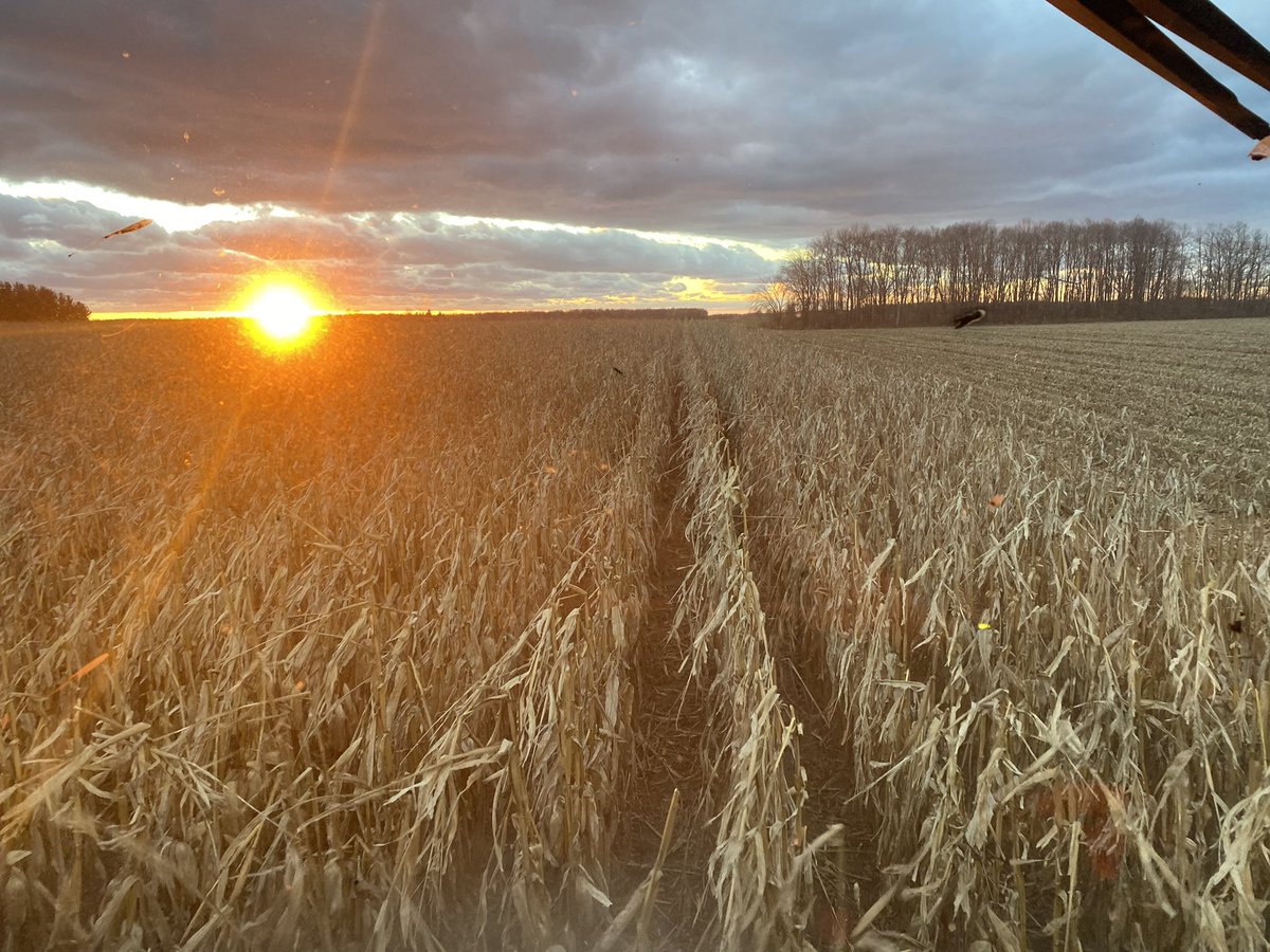 Rick Kootstra tweet media