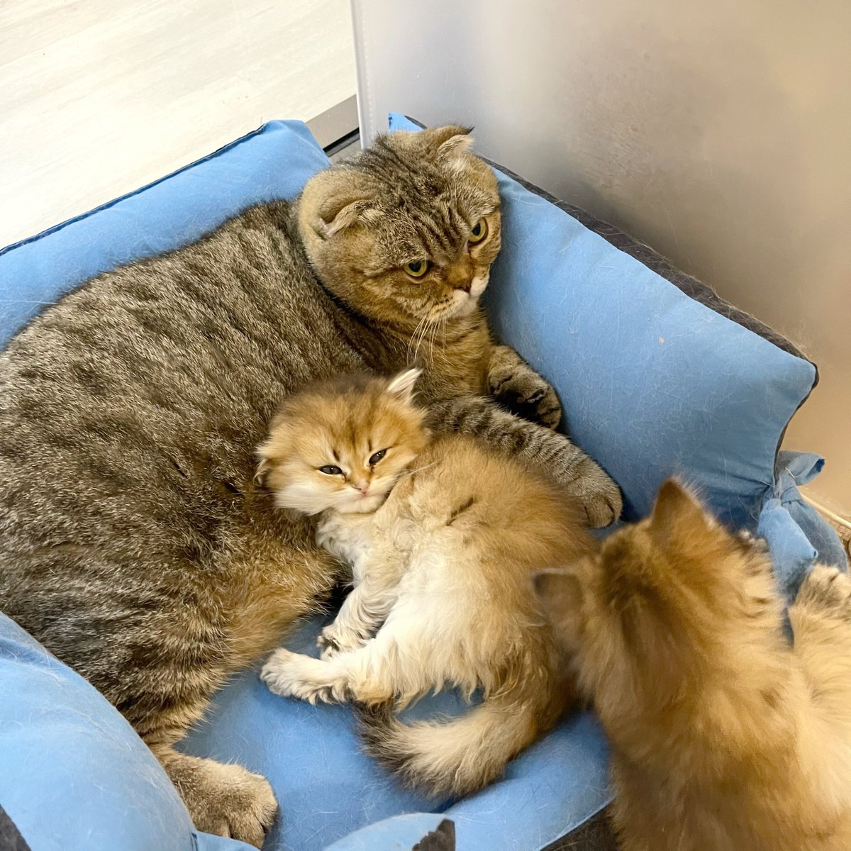 Bonusiie's tweet photo. คุณทวดเพนผู้ใจดี 🥰 https://t.co/kGNCTYnGgC