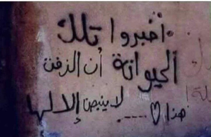 النسر 2 غيـاب&مؤقت tweet media