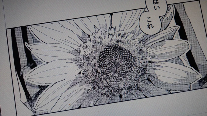 写真を元にしてイラストに落とし込むの難しすぎでは 
