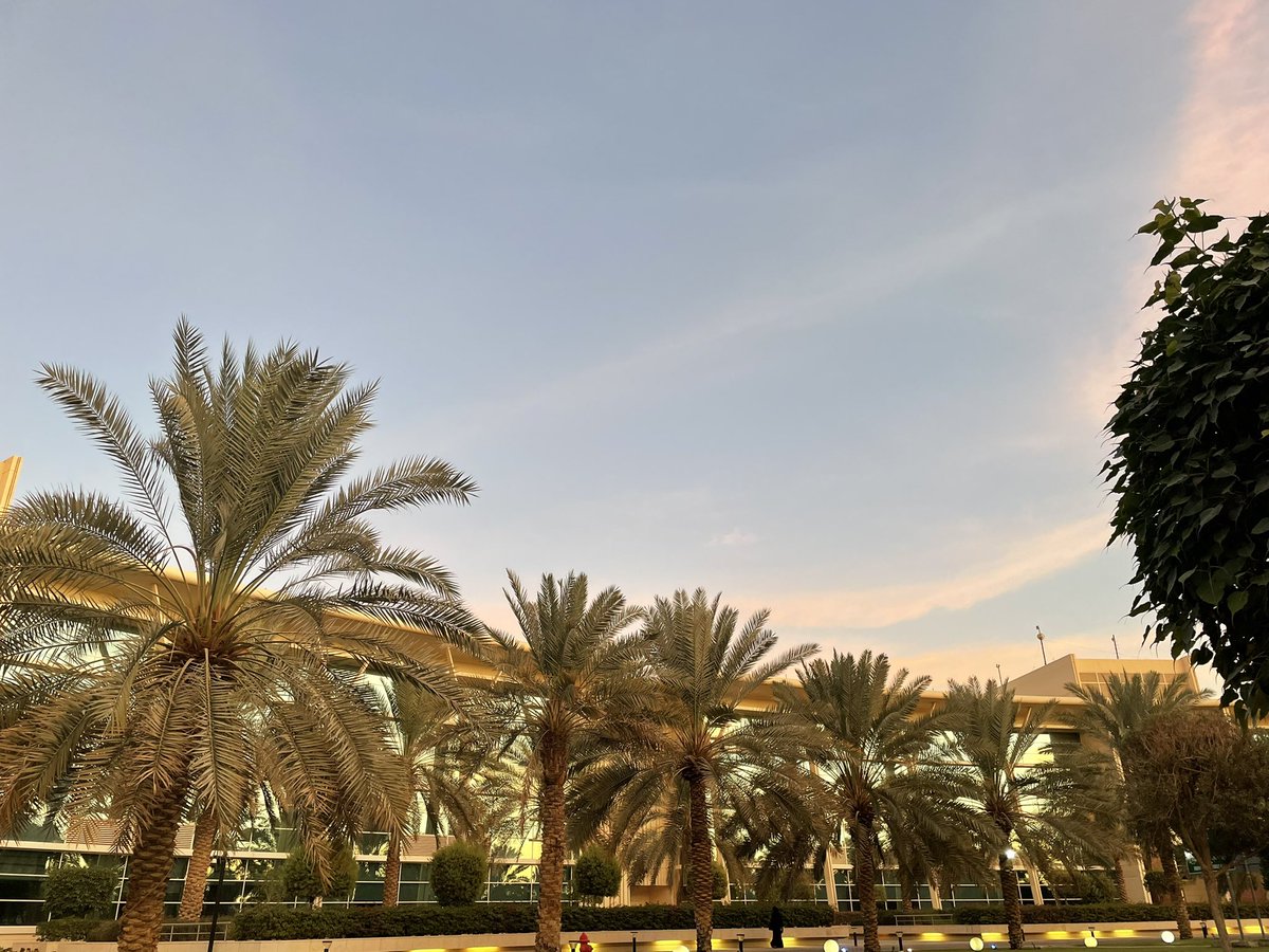 meralalzayer's tweet photo. Can we please just appreciate the sunset at uni https://t.co/M6iUPPLBaD