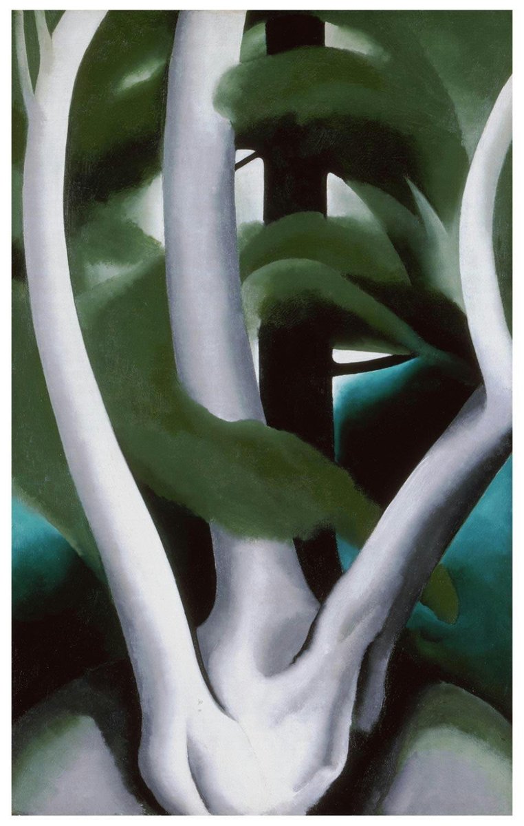 philamuseumart's tweet photo. #NewOnView: In 1925, while spending the summer on Lake George, NY, Georgia O’Keeffe created a number of paintings of the same pair of trees. This sensitive portrayal brings to mind her remark, “If only people were like trees, I might like them better.” https://t.co/8AwQxmfq93 https://t.co/AND6ZdnBHA