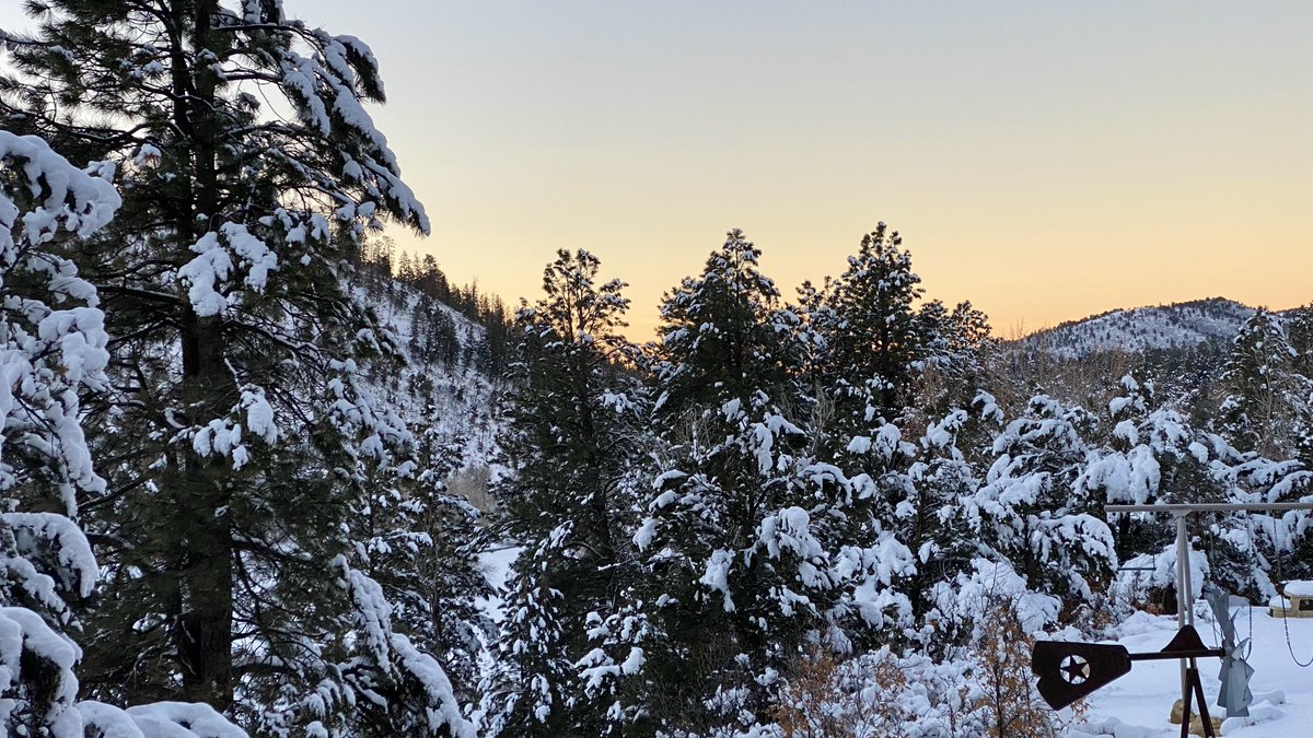 NMSUVPR's tweet photo. Just about done with my 33rd Fall semester in academia. Still driven to #ElevateResearch #ElevateCreativity #StudentSuccess. Enjoying the beauty and calm of a wintry #SundayMorning. https://t.co/nbTawSuJ4v