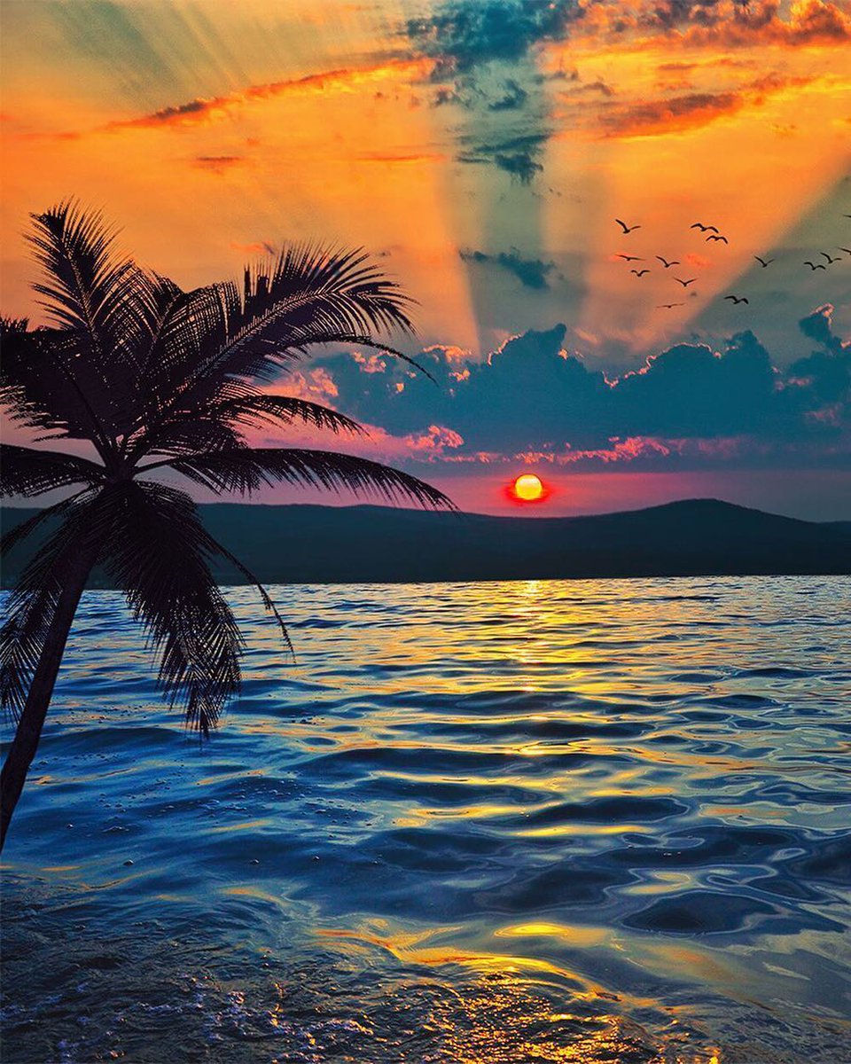 Good Evening❤️🧡💙