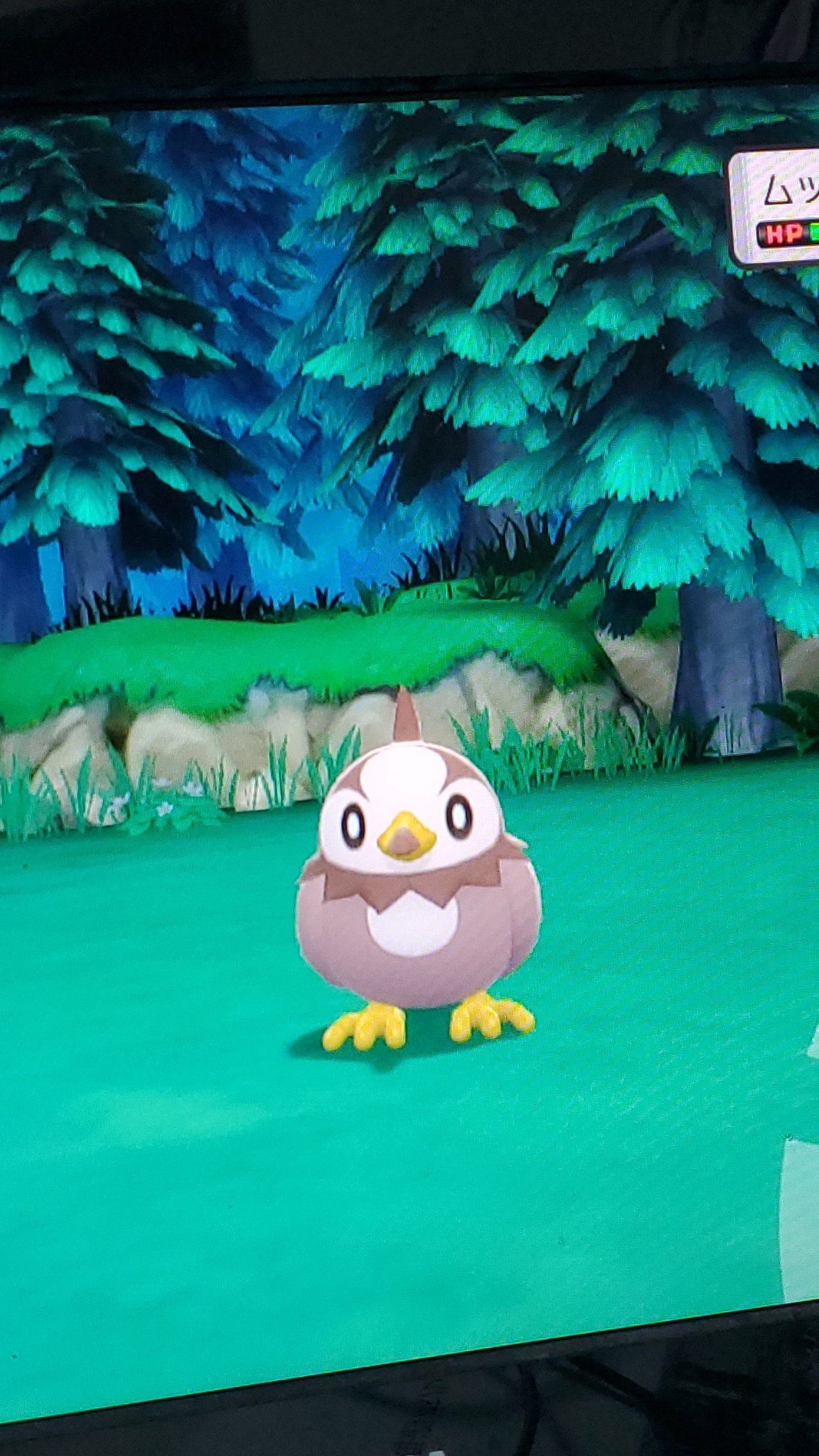 ムックル Twitter 搜尋 Twitter