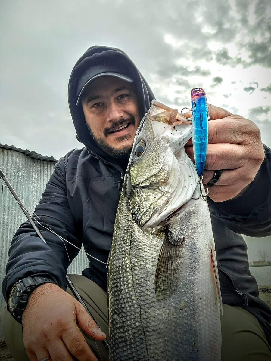Georgetaxt's tweet photo. 🇯🇵#seabass #fishing with #blueblue #gaboz90 #serresfishing #serresspinning #λαβρακι #ψαρεμα #bluebluefishing https://t.co/bQCX7ptrKv