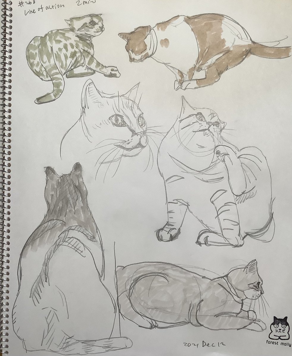 Mollykinoco's tweet image. #lineofaction #croques 268回目