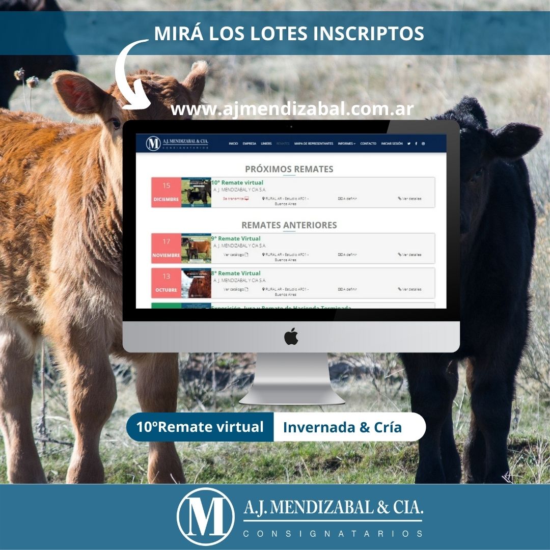 ajmendizabal's tweet photo. 👉🏻 Mirá los lotes incriptos para el remate del miércoles en nuestra web
🌐 https://t.co/tzxqDLCrJh
#AJmendizabal #consignatarias #invernadaycria https://t.co/rTK2qFG76Z