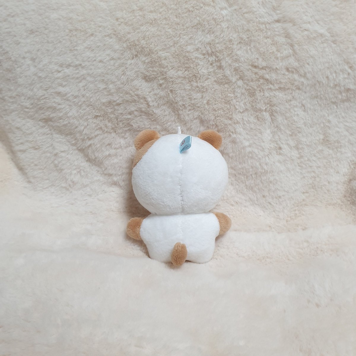 지뽀 최종 샘플