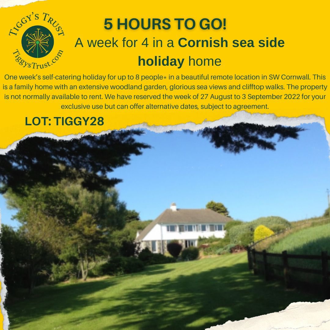 🎗🐎The Final Furlong🐎🎗<a href="/CheltenhamRaces/">CheltenhamRacecourse</a> <a href="/IJF_official/">Injured Jockeys Fund</a> Just over 5 hours place your bids ✋✍️tiggystrust.com/auction #turncheltenhamyellow #ridefortiggy 💛💛