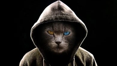_Cadmus_'s tweet photo. @CharlenDoe @Vic_Resist @NNavyvet @Klaatuhas2As @KlatuBaradaNiko 🙀 https://t.co/gZGlNVrYdq