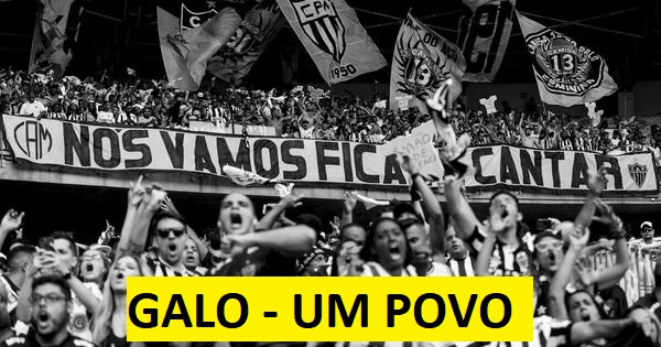 Pedro Fonseca tweet media