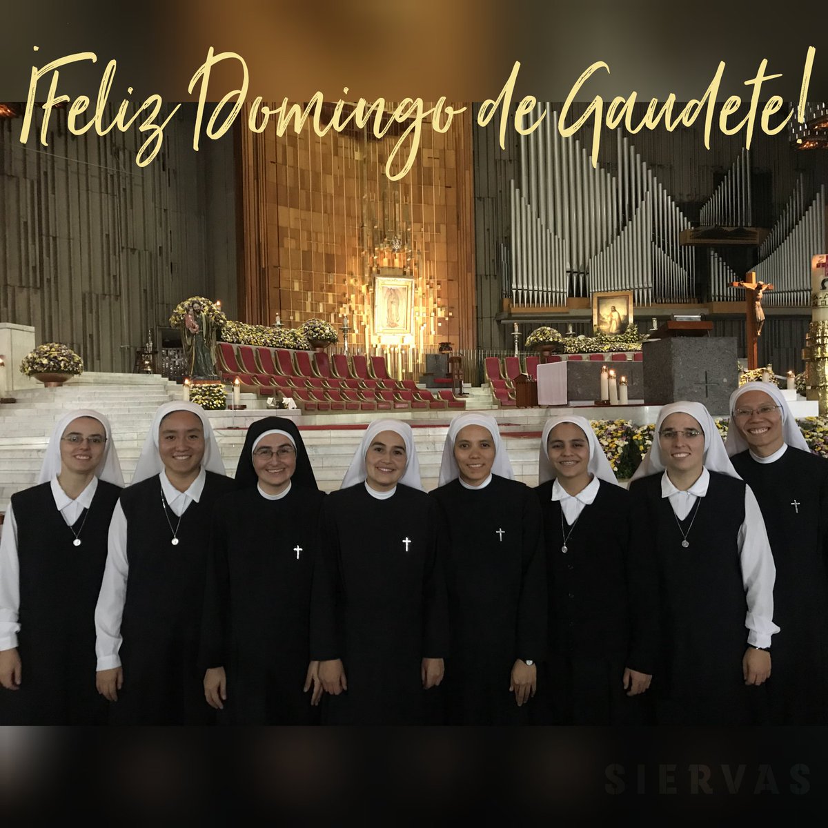SIERVAS (@siervasmusica) on Twitter photo 