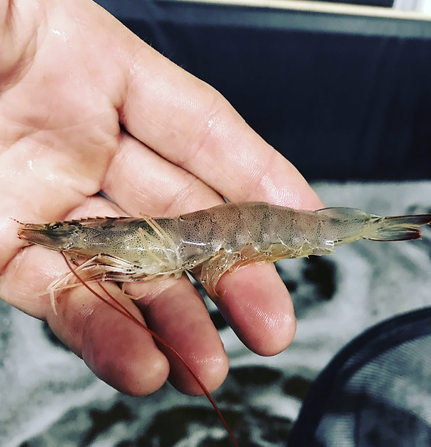 Earthkeep Farmcommon tweet media