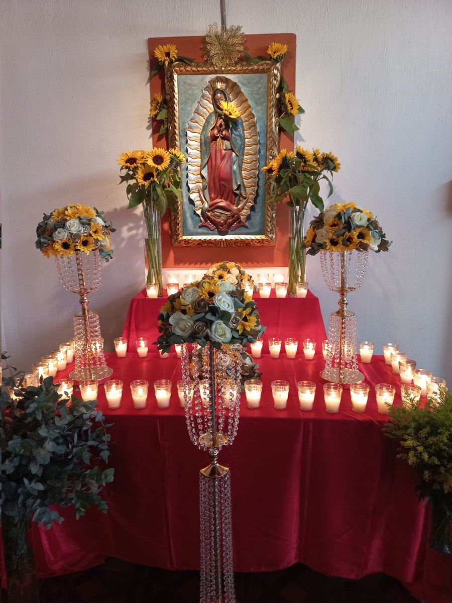 Virgencita de Guadalupe ruega por nosotros....
#VirgendeGuadalupe