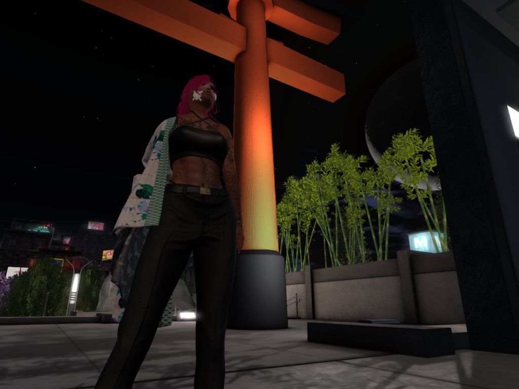 RenaKadoyaWPWF's tweet photo. As another year of @WPWFed_SL  ends, who knows what will happen in the next. Til then, time to plan where to go next. #DragonMaiden #FallenQueen https://t.co/LNlzarKd6H