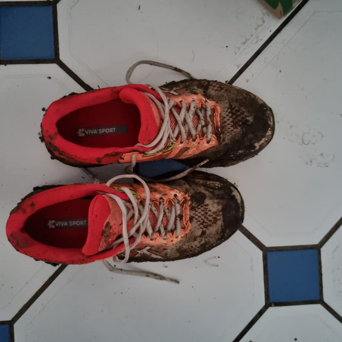Alifitness91's tweet photo. Today was race 3 of the frostbite league at hinchingbrooke park!
I didn't have a time in mind as I wasn't sure how well my knees would cope with the terrain, but I'm really happy with how it went.
#running #frostbite #runclub #bournetownharriers #crosscountry https://t.co/9Ck8oPoGTB