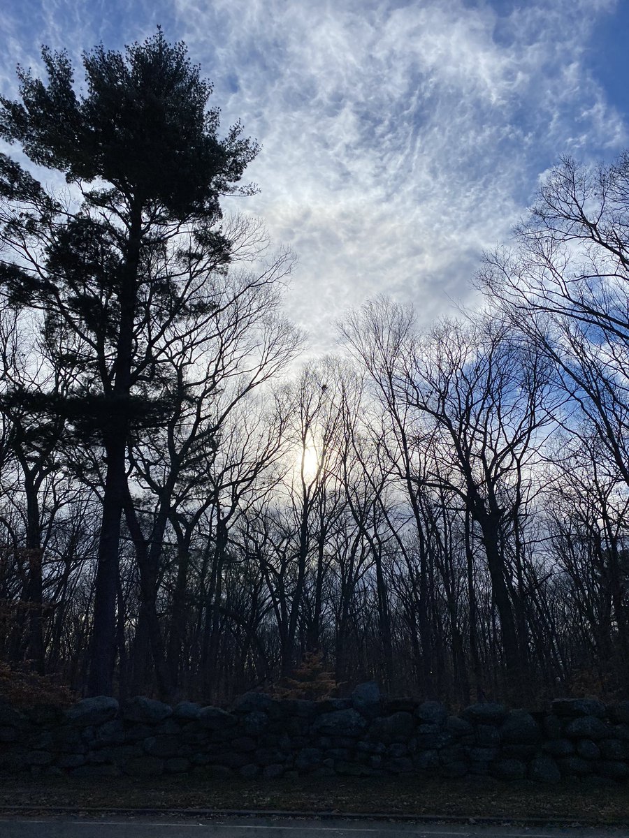 rrkolker's tweet image. Have started a ritual of taking a long outdoor walk to soak in the morning sun before diving into my week of nights. December sunshine is so precious, even more so working nighttime shifts ✨ #MedEd #InternThoughts #MedPeds #MedTwitter