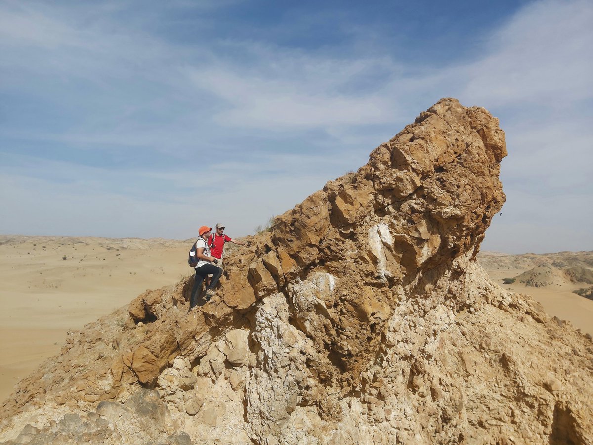 TihanaPensa's tweet photo. Field trip day 1/3
Fossil reefs from #Umluj in Saudi Arabia https://t.co/iHLtbGlKtf