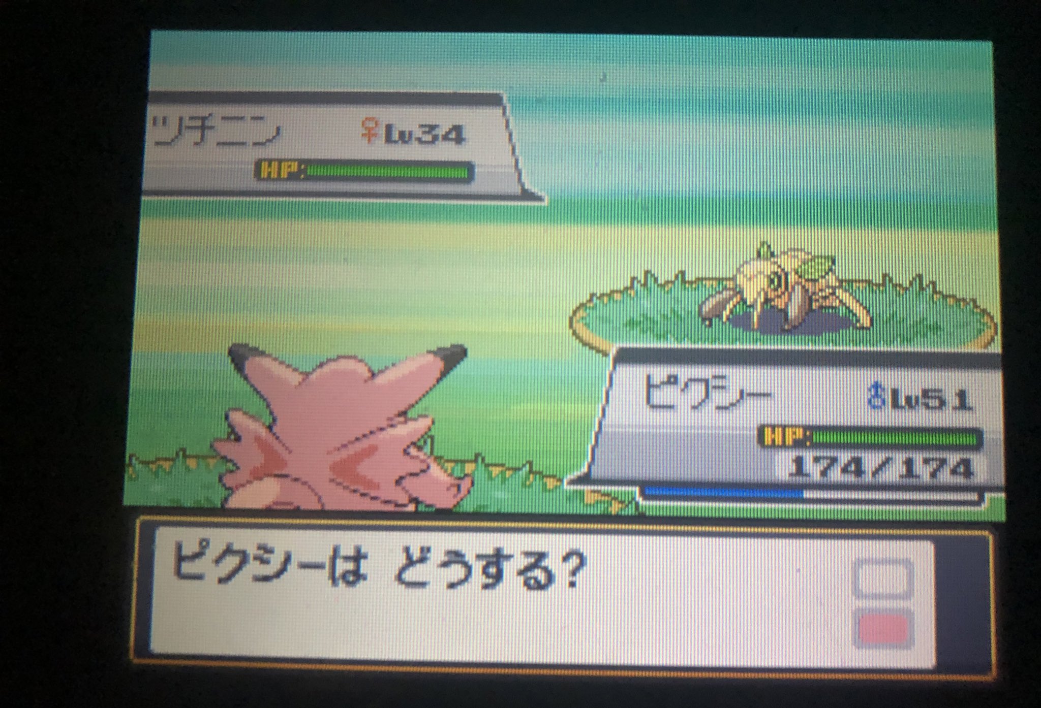 老獅子 老レオ あ 欲しかった色違いツチニンきたわ のうてんきだと嬉しいんだがね のうてんきは剣盾連れてくると菱形の色違い なおダイパ プラチナで進化させてヌケニンを手に入れると通常はモンスターボール入りなのだがコンペボール入りになる