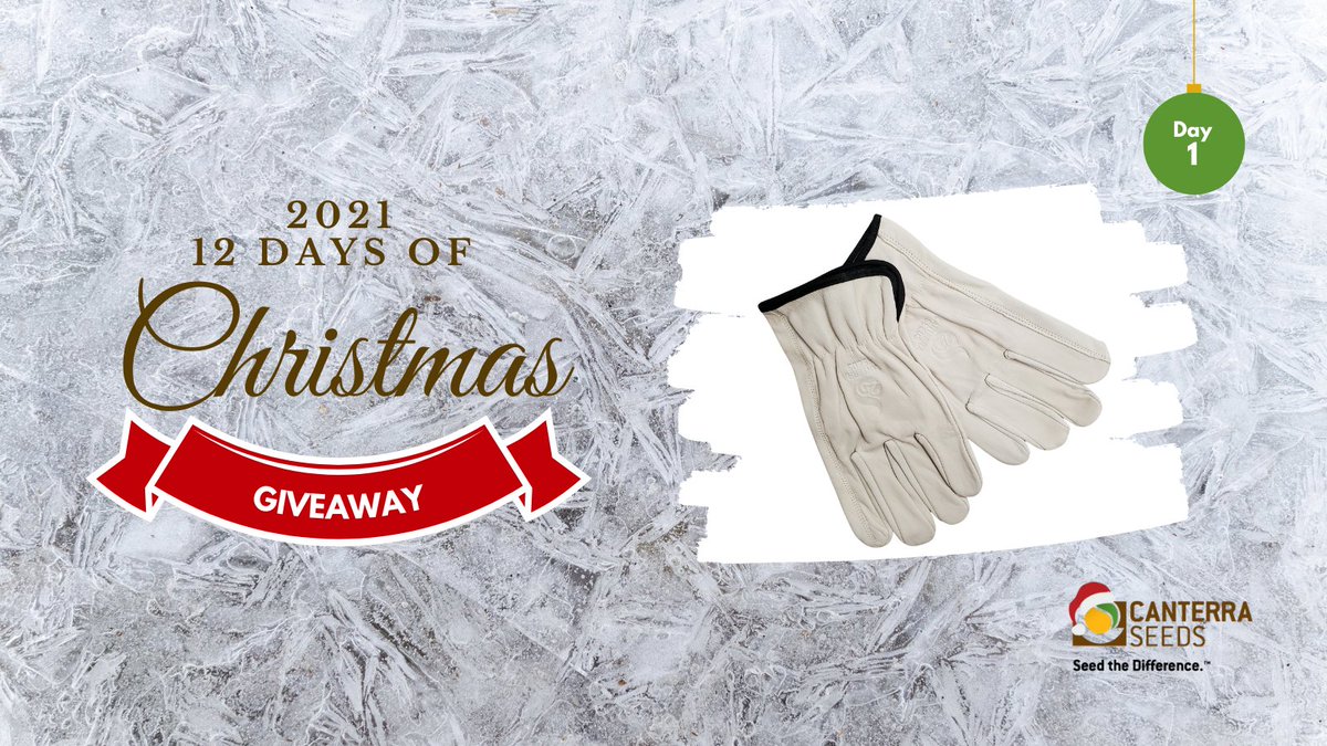 Welcome to Day 1! We've got your hands covered with CANTERRA SEEDS leather work gloves. Follow us and retweet to be entered in for 1 of 12 pairs! Winners selected Dec. 13. #12DaysofChristmasGiveaway #WestCdnAg