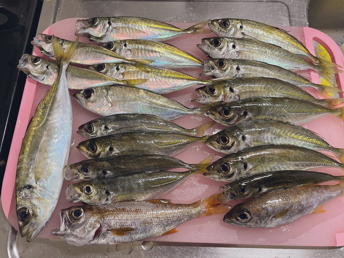 みんなの 刺身 アクアパッツァ 口コミ 評判 2ページ目 食べたいランチ 夜ごはんがきっと見つかる ナウティスイーツ