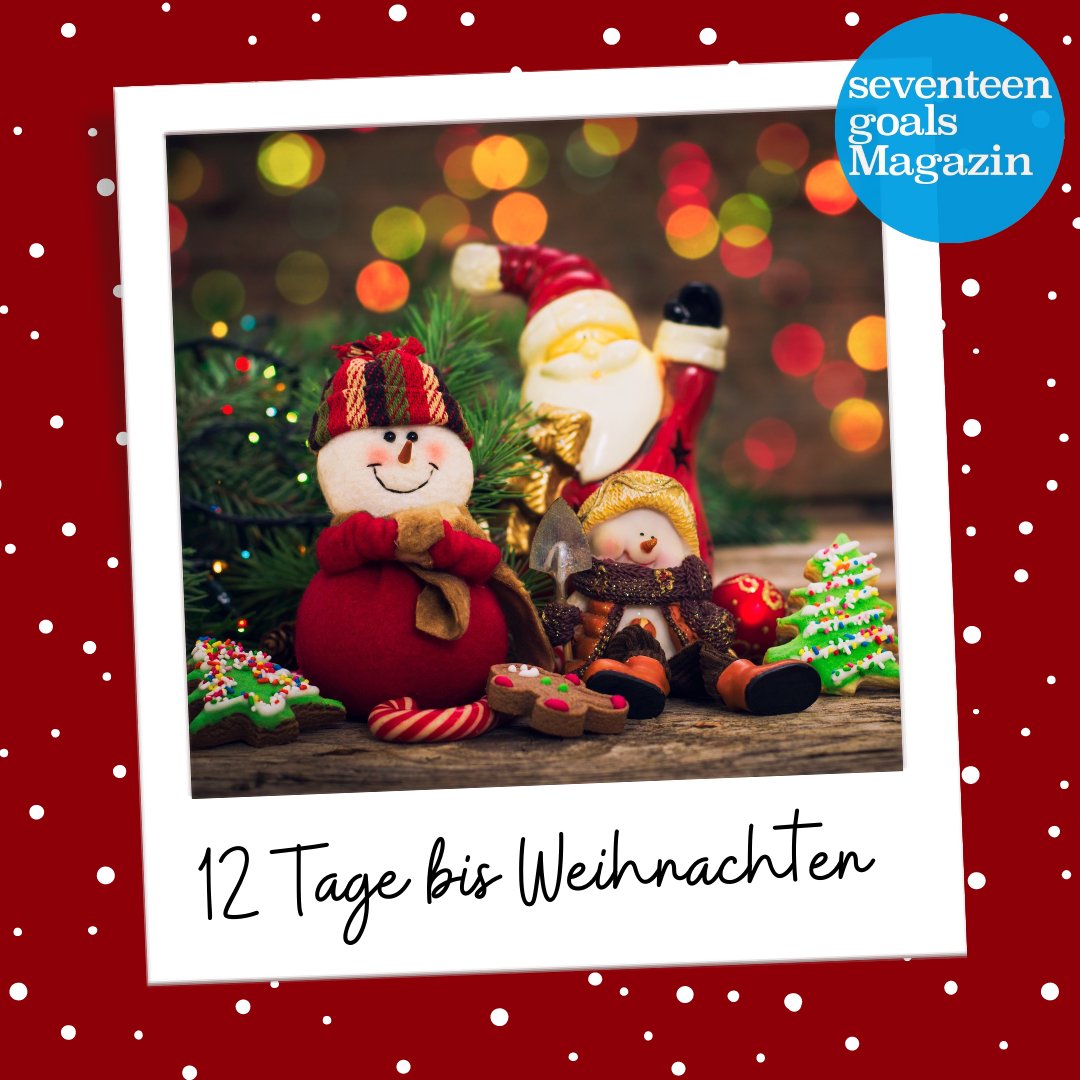 Seventeen Goals Magazin tweet media