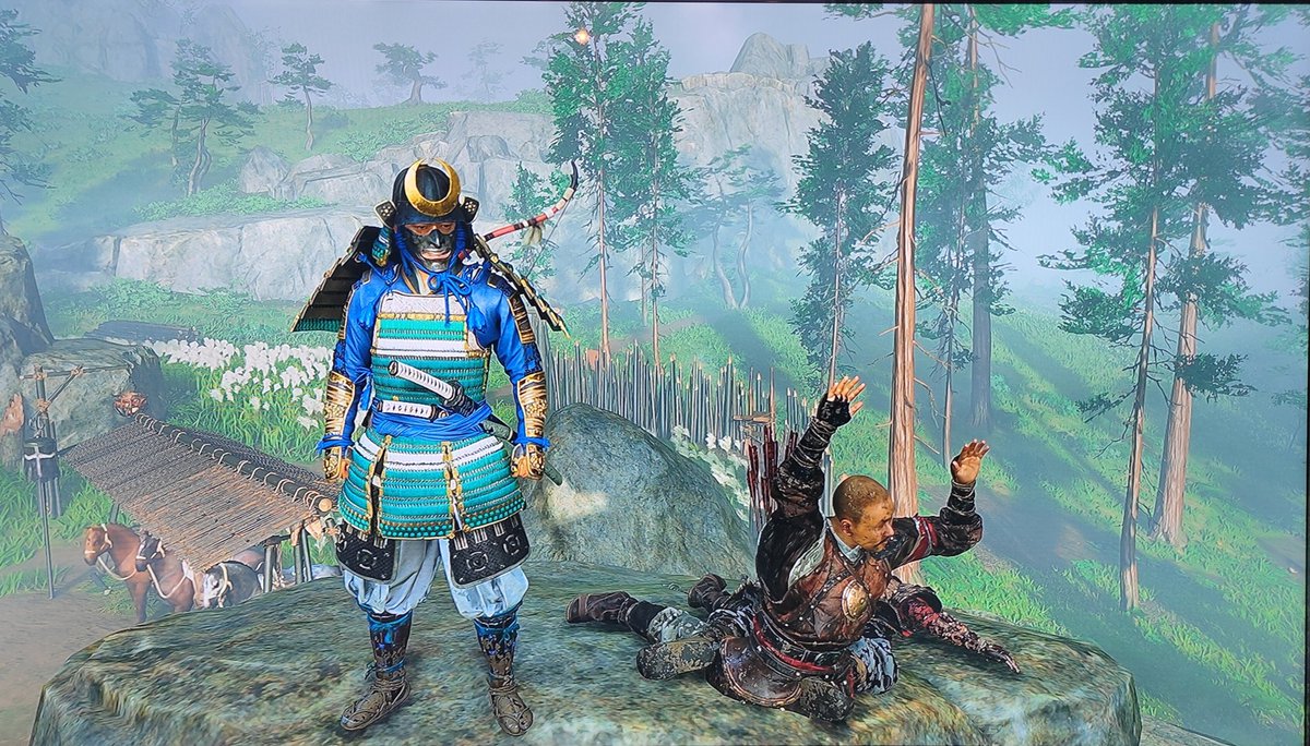 Rom35BZH's tweet photo. Ghost of Tsushima : vraiment magnifique comme jeu, par contre quelques petits bugs 😂 #GhostOfTsushima #PS4 @SuckerPunchProd https://t.co/TpC4hkg90j