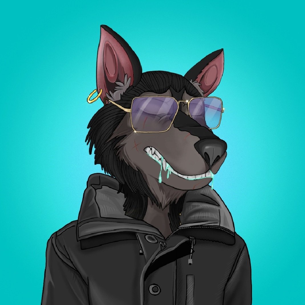 giofinancial's tweet photo. @KosherPlug @CROAKZ_ @Cryptowolfclub is a solid project, eat or be eaten! https://t.co/rndxGllpvL