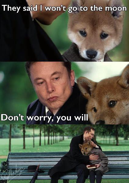 TaxAveryShow's tweet image. $DOGE
🐶❤️😢🤣
#dogecoin #DogecoinToTheMoon #dogelonmars #DOGEARMY #memecoin #dogebonk #Dogecoinarmy #SAFEMOON #BTC