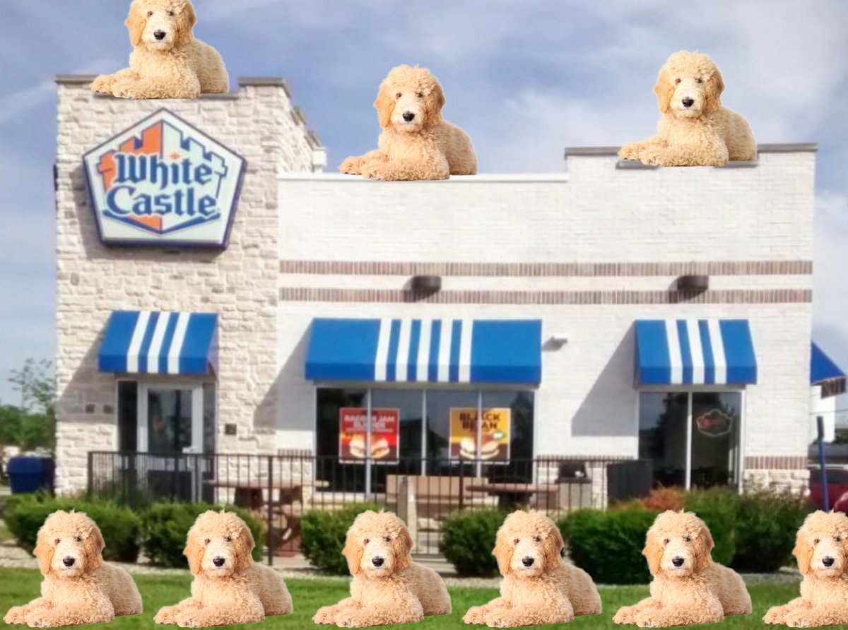 CryptoGirl1337's tweet photo. Seems like @doodlelabs_io is guarding @WhiteCastle. #MOOKS better have them in a leash before this upcoming collection explodes 👀 https://t.co/3z5cRr3i26
