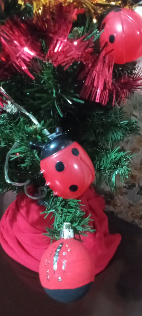 AndreaSofiaIbaz's tweet image. The tree is ready!! 🙌⛸️🎄🐞🎊
All the energies to all the skaters 😄
#tree #merrychristmas #treechristmas #ladybug #figureskating #patinajeartistico #patinajeartisticosobrehielo #teamchampéry #stephanelambiel #denissvasiljevs #koshiroshimada #shomauno