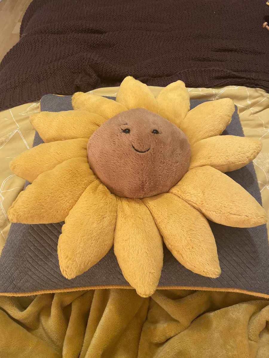 agameganon's tweet photo. My early Christmas gift to myself is this giant fluffy sunflower. Her name is Susan 🌻 https://t.co/kgyKLaYqiX