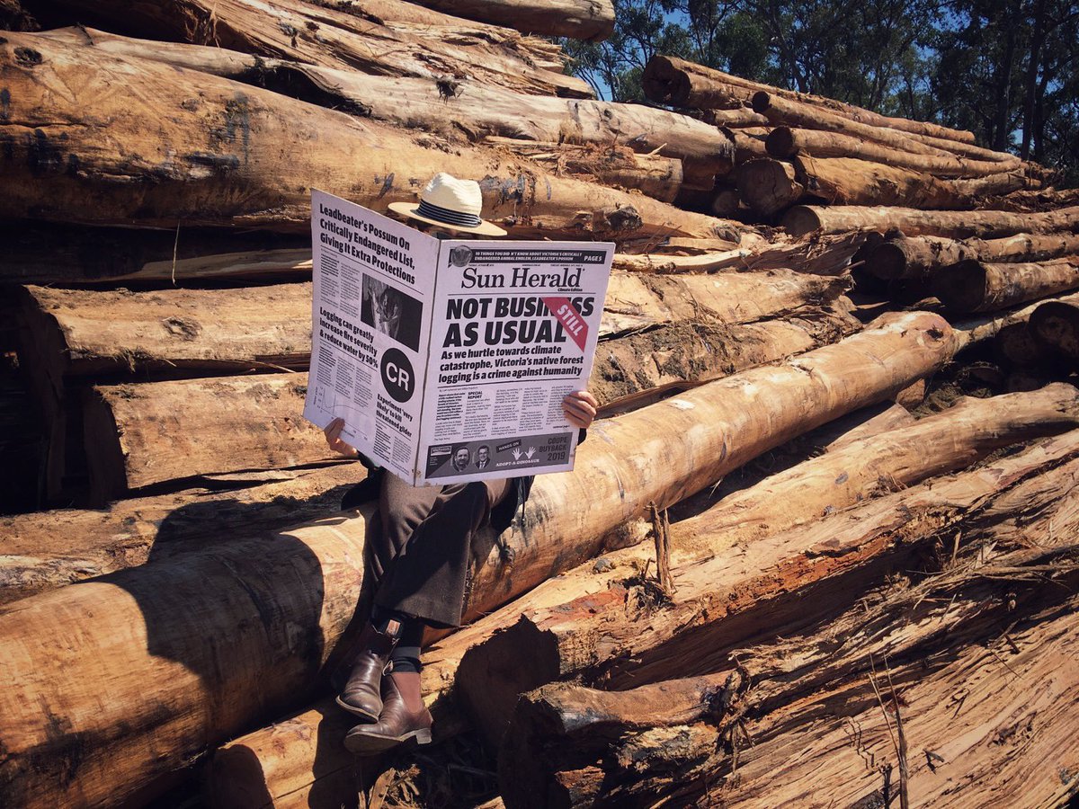 knittingnannasT's tweet photo. @abcnews @MikeySlezak Business as usual is not an option #VicForestsFail https://t.co/UnwvIwXUpp