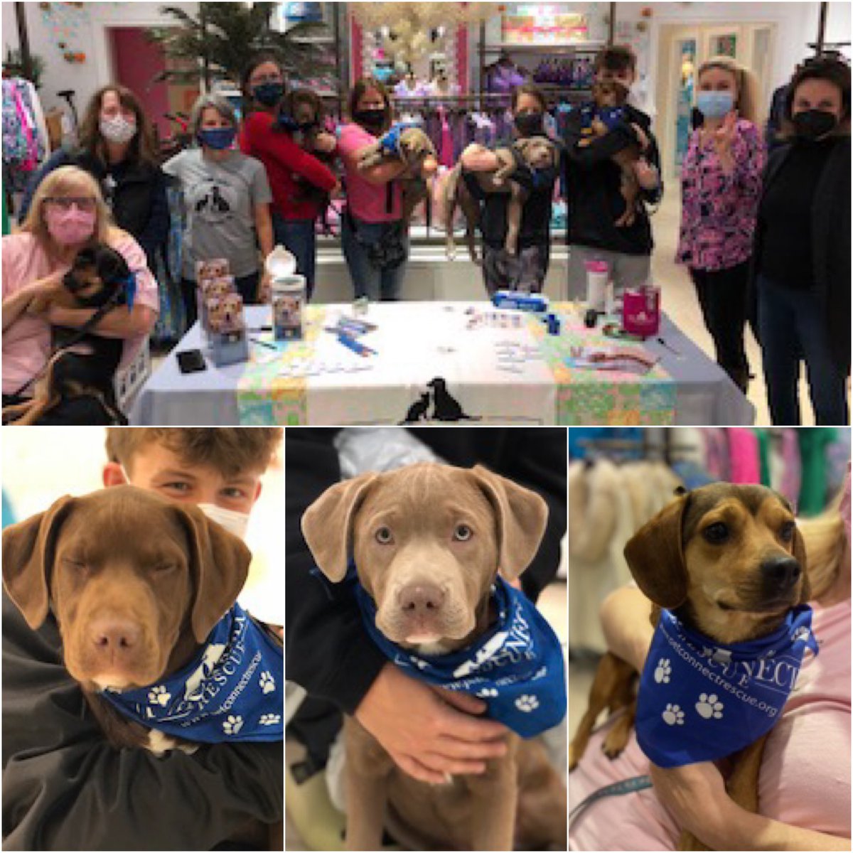 Thanks to everyone who supported our Shop &amp; Share event at Lilly Pulitzer yesterday! We appreciate our fosters, volunteers and supporters for all you do! Thank you!