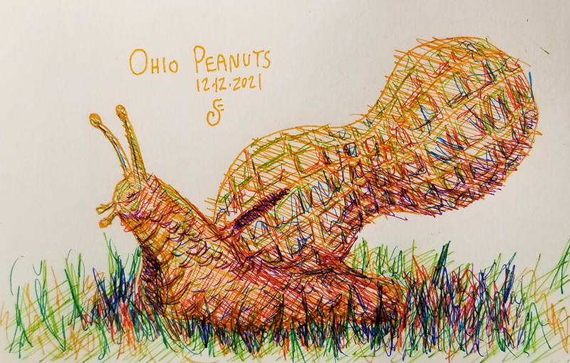SwirlingFlight's tweet photo. Small sketch project redux: the #blaseball election results left me with such a clear mental image that I had to immediately sketch it, congrats to the Ohio Peanuts and their new shells! https://t.co/YotgwOyFqS