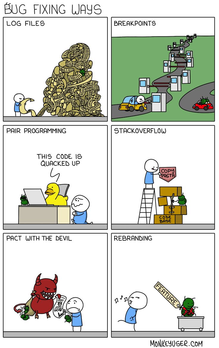 Which kind of bug fixer are you?