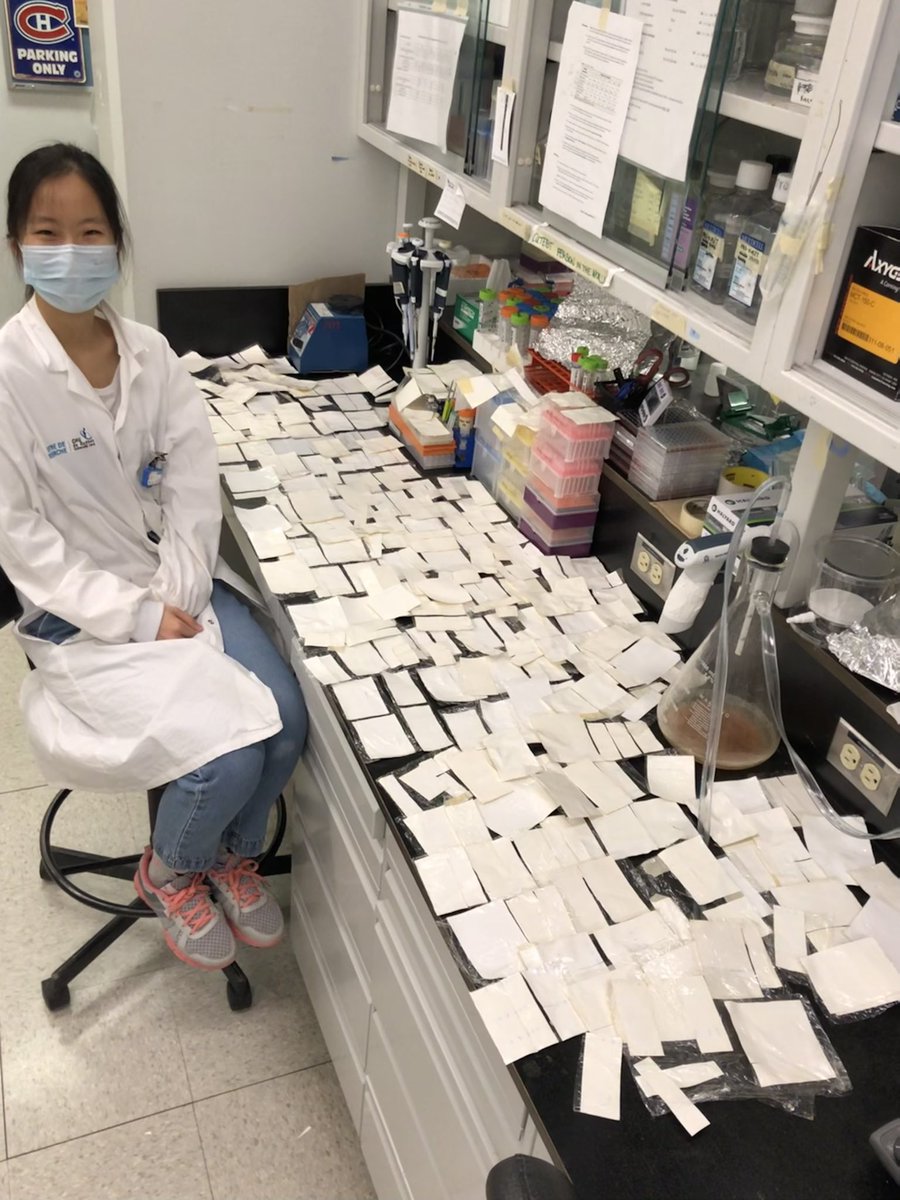 Yuandi Gao tweet media