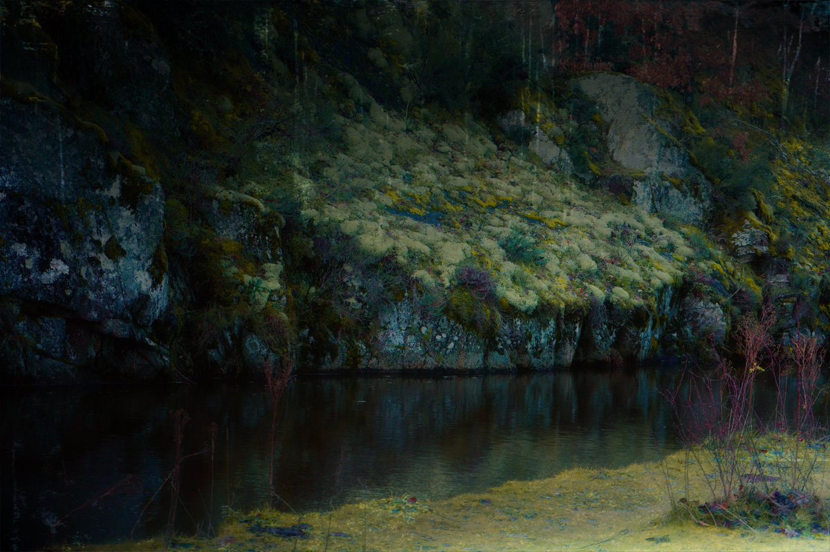 samanthacavet's tweet photo. Photos of a lonely forest https://t.co/DQH3MMMF1t