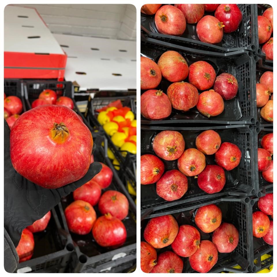 AxoyFresh's tweet photo. Fantastic fresh fruits and vegetables 💚👌
#Välkommen 🤗
#axoy_daily_fresh

#Fresh #fruits #vegetables #frukt #farsk #tasty #delicious https://t.co/zWzjbKK3QM