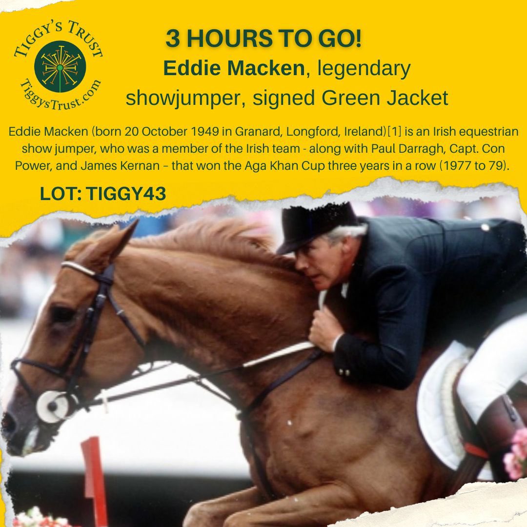 🐎to the line, don’t get beaten a short head #turncheltenhamyellow  3 hours to go…tiggystrust.com/auction <a href="/CheltenhamRaces/">CheltenhamRacecourse</a> <a href="/IJF_official/">Injured Jockeys Fund</a> 💛🎗💛🎗
