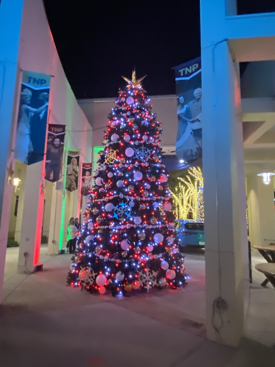 🎄🦌Holly Jolly Christmas ☃️🎅🏻🏝 tweet media