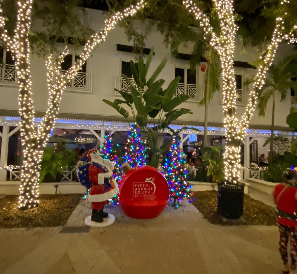 🎄🦌Holly Jolly Christmas ☃️🎅🏻🏝 tweet media