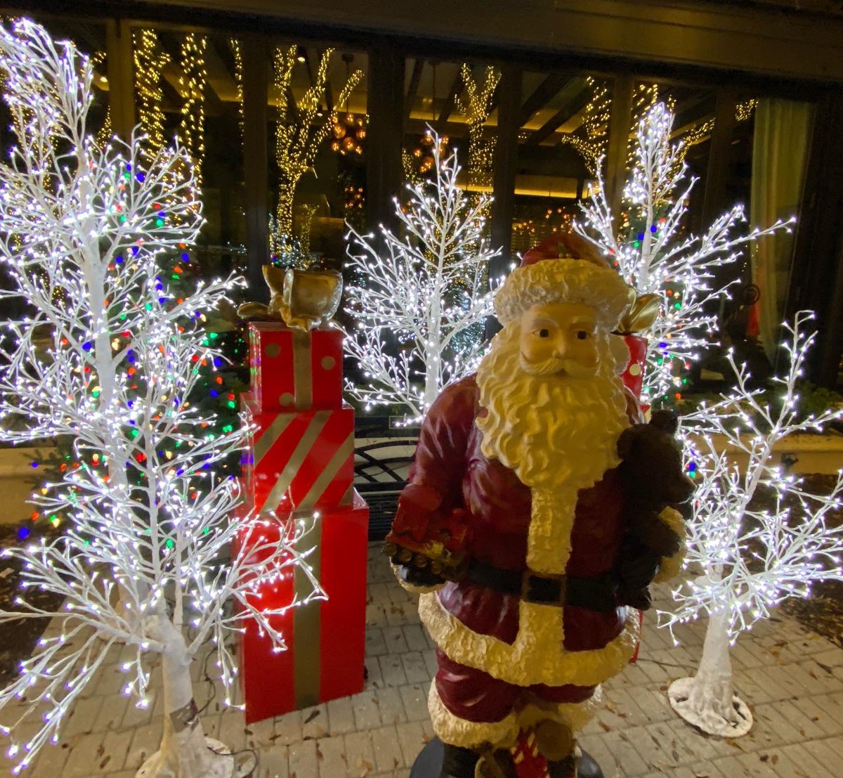 🎄🦌Holly Jolly Christmas ☃️🎅🏻🏝 tweet media