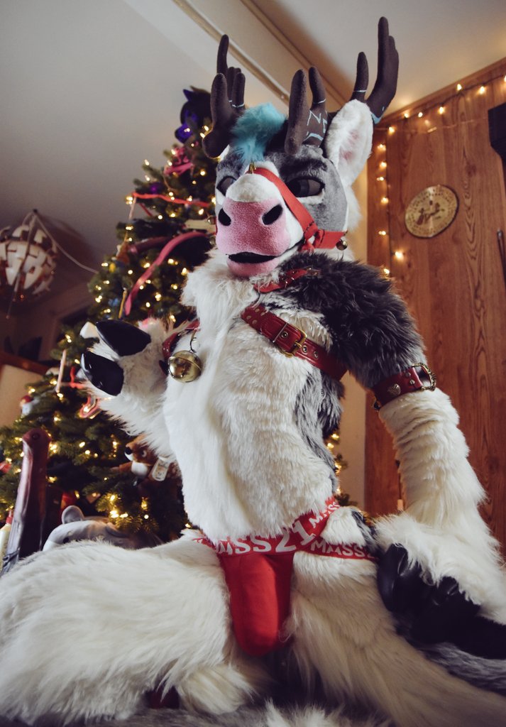 Don't forget to leave a treat out for all those HARD-working reindeer~ 🎄🦌❄🔔

📸: @snowlepad