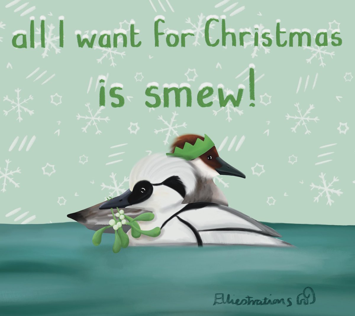Was very happy to finally see the drake smew at @RSPBLochwinnoch - Christmas wish ticked off on my third try! I had done a smew Christmas illustration this year, making it all the more satisfying to see them in real life! #bird #smew #getbirding